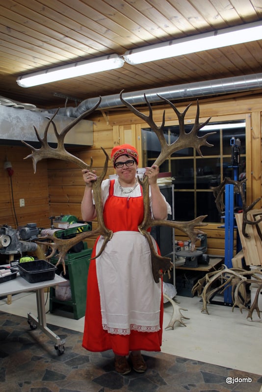 Irene dislaying some reindeer antlers she will use to make Lappish handicrafts