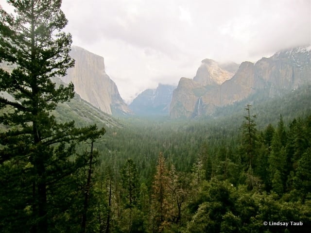 Yosemite: hosting Chefs' Holiday Sessions