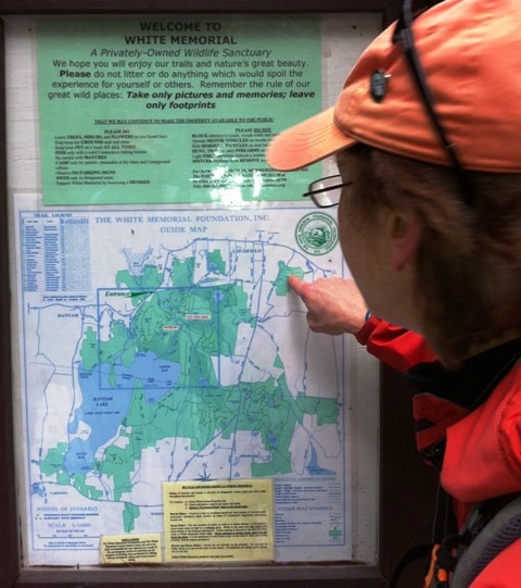 Deborah Lewis mapping out the trail