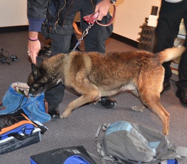 Police dogs search our bags before going in