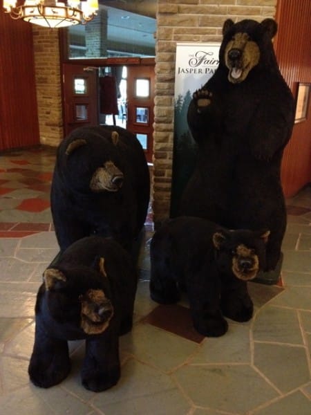 A friendly stuffed bear family at The Fairmont Jasper Park Lodge