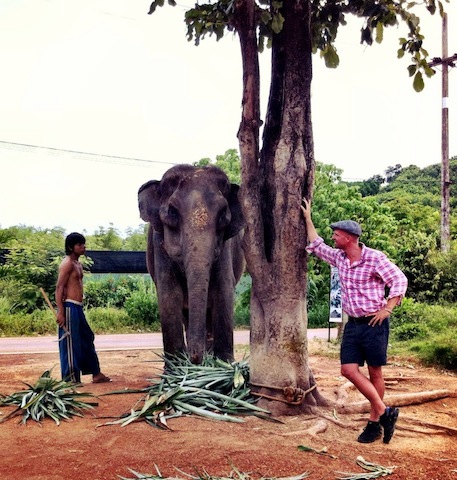 elephant trek begins