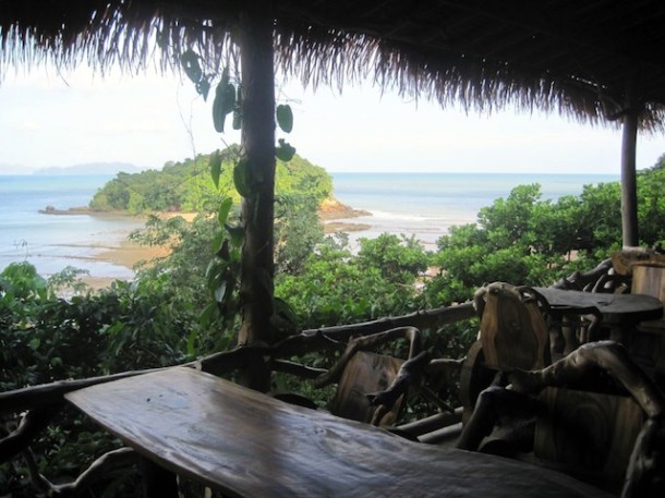 view from tree fort restaurant
