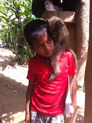 Boy and monkey