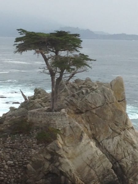 17 Mile Drive