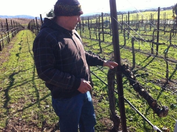 Marcelo Doffo in his Vineyards