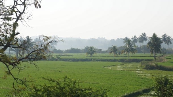 View from the motorbike