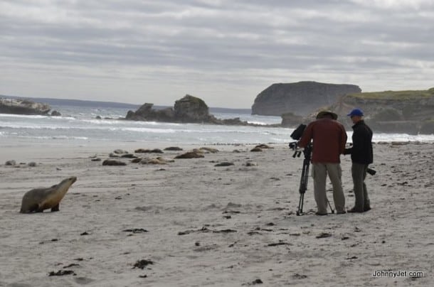 Filming at Seal Bay