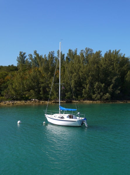 Cruise past sail boats and islands on the Hamilton Harbour tour