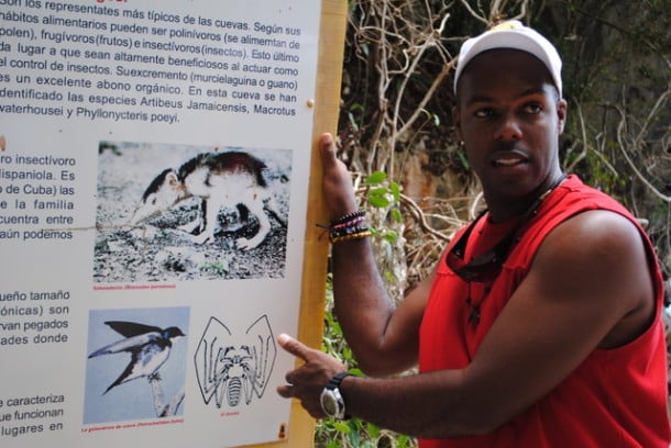 Los Haitises  Solenodon