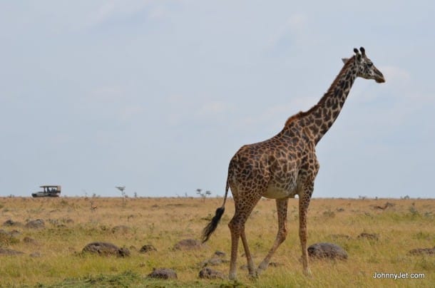 Mahali Mzuri Kenya Safari Camp