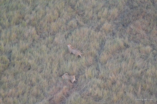 Serengeti Balloon Safaris Tanzania Micato Safaris June 2013 -005