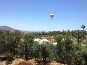 Hot air balloon ride over the Safari
