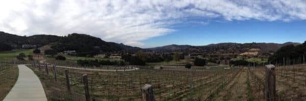 Vineyards at Carmel Valley Ranch