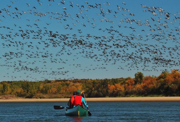 Canoeing with CanoeSki on the South Saskatchewan River (Credit: Bill Rockwell)