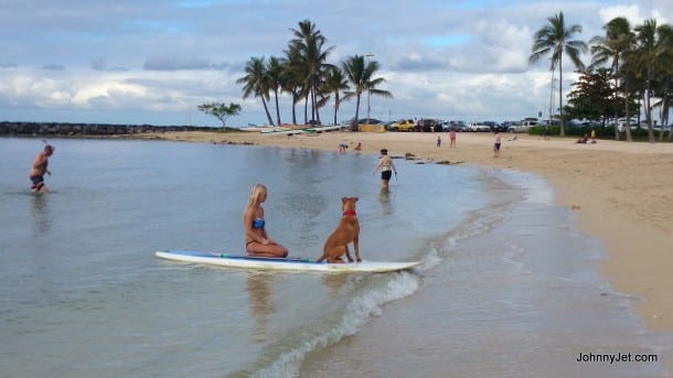 Surfer girl and dog Hilton Hawaiian Village