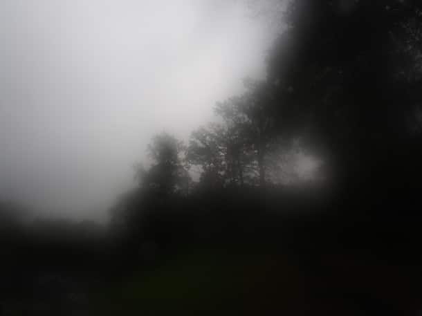 Rainy, misty, enthralling deep Belgium
