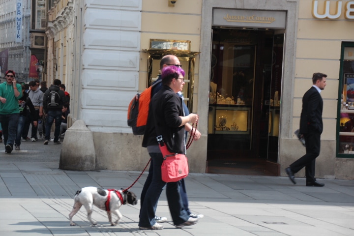 Locals shopping near Albertina Square, Vienna