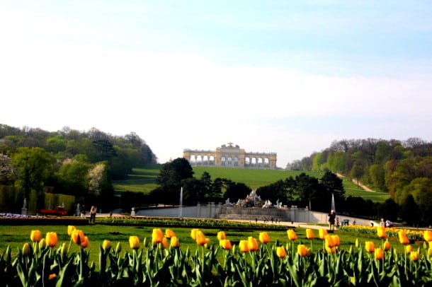 A view from the Schönbrunn Palace