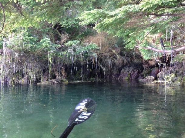 Kayaking in Tofino