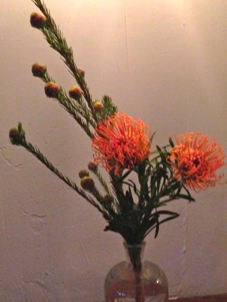 Bao Bei's Flowers
