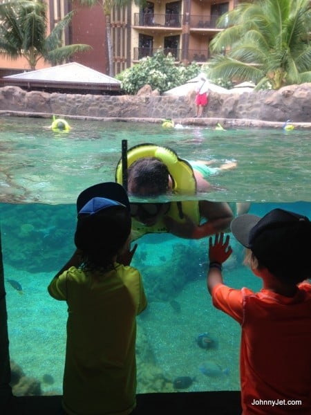 Rainbow Reef Viewing Cave 