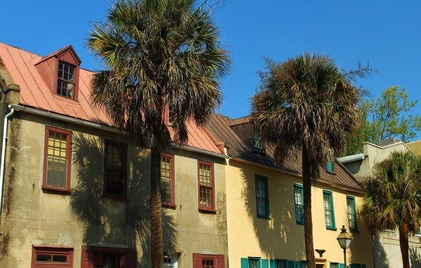 Historic houses fronted by lofty palms (Credit Bill Rockwell)