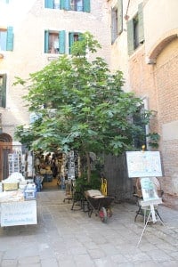 Another unique discovery with the help of Igor, the Libreria Acqua Alta. This is Luigi's World Famous Bookstore. Self-proclaimed maybe, but extraordinary nonetheless.