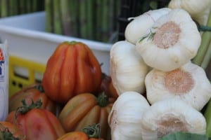 Rialto Market garlic