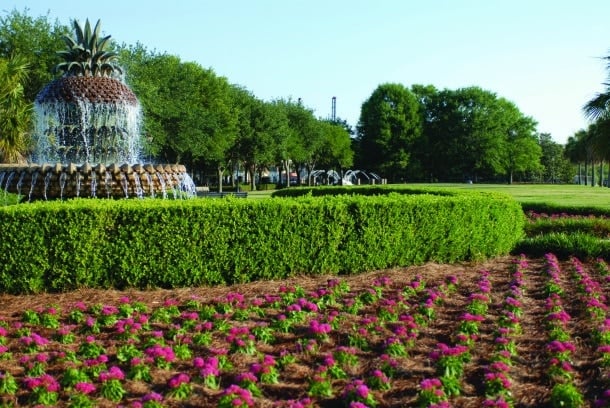 Azaleas in bloom on Charleston's waterfront (Credit: Charleston CVB)