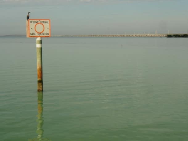 Out on the water with Hall's Diving Center in the Florida Keys