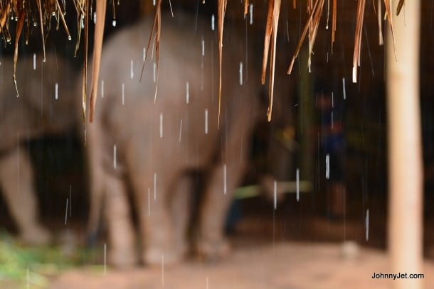 Rainy day at the  Anantara Hotel Chiang Rai elephant camp