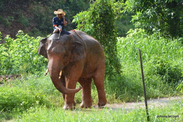 Anantara Hotel Chiang Rai elephant camp