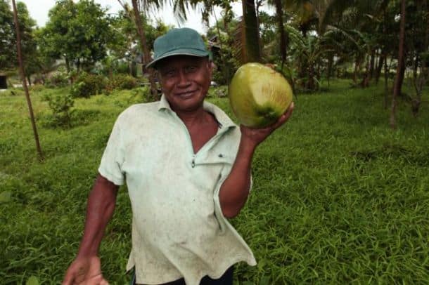 Coconut farmer