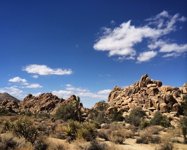 On the Hidden Valley Trail in Joshua Tree National Park