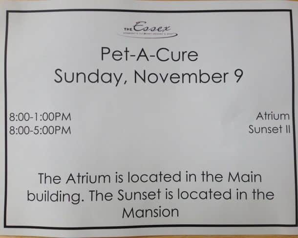 Pet-A-Cure at Essex spa for Baci