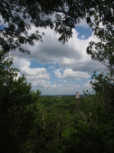 View of Tikal from Temple IV