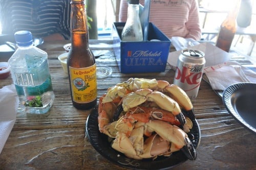 Stone crabs