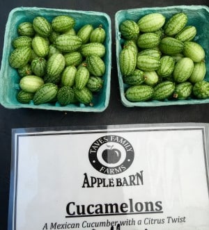 Cucamelons at Yaletown Farmers Market