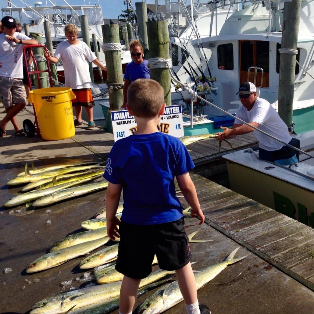 Fish crazy on Hatteras Island