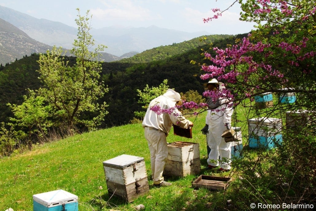 Greek beekeepers
