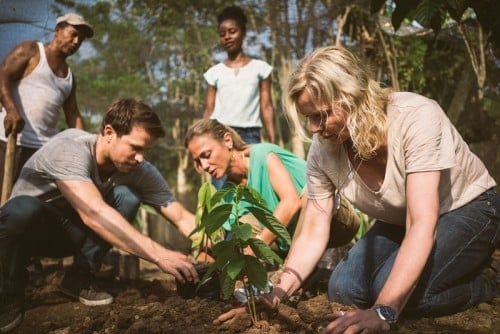 With Carnival Corporation's new Fathom brand, travelers will work alongside people in global communities in need, including Cuba and the Dominican Republic. Planting cacao plants allows cooperatives to increase their production, to help locals achieve economic independence. (PRNewsFoto/Carnival Corporation & plc)