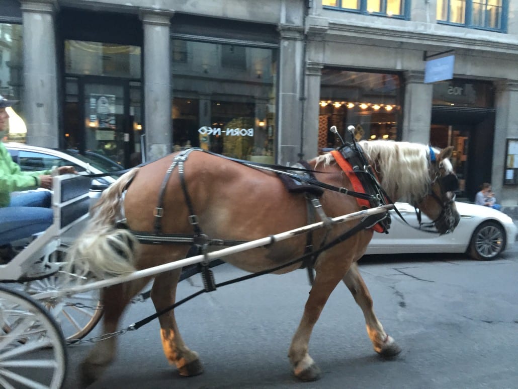 Old Montreal horse-drawn carriage