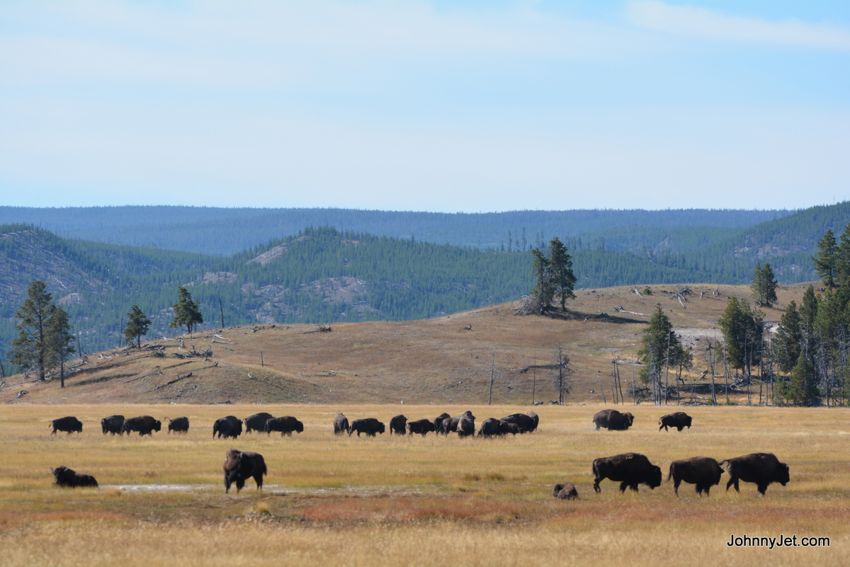 Montana and Wyoming Yellowstone with Ford Sept 2015-035