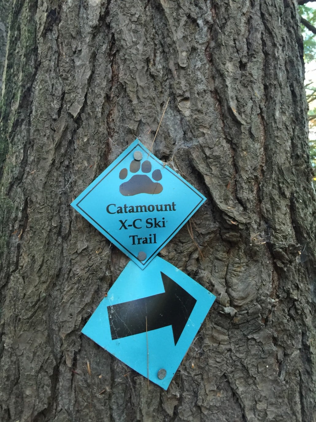 Catamount Trail outside of Topnotch