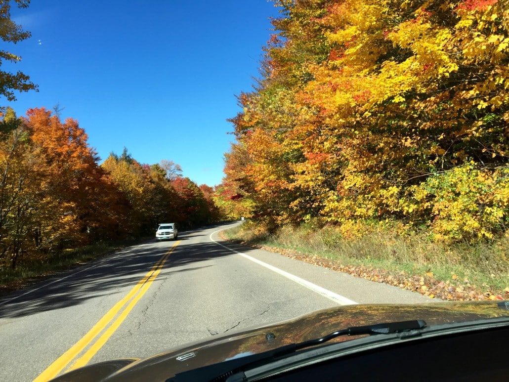 Lovely autumn drive