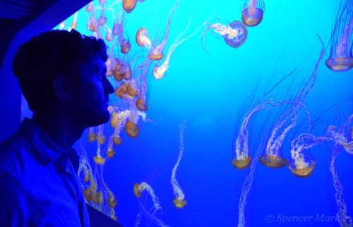 Spencer and the jellies!