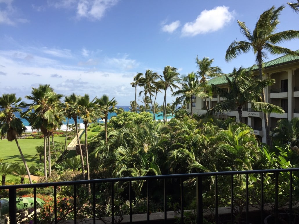 Coconut trees at the Grand Hyatt Kauai