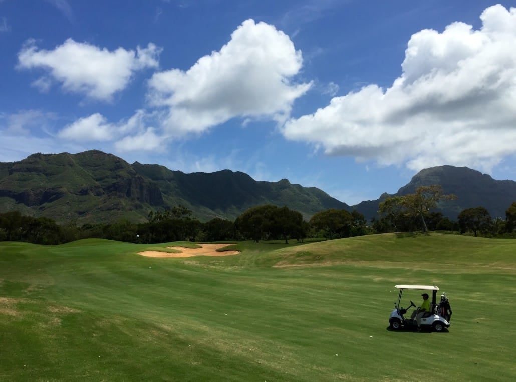 Jurassic gardens loom on 16 at Puakea