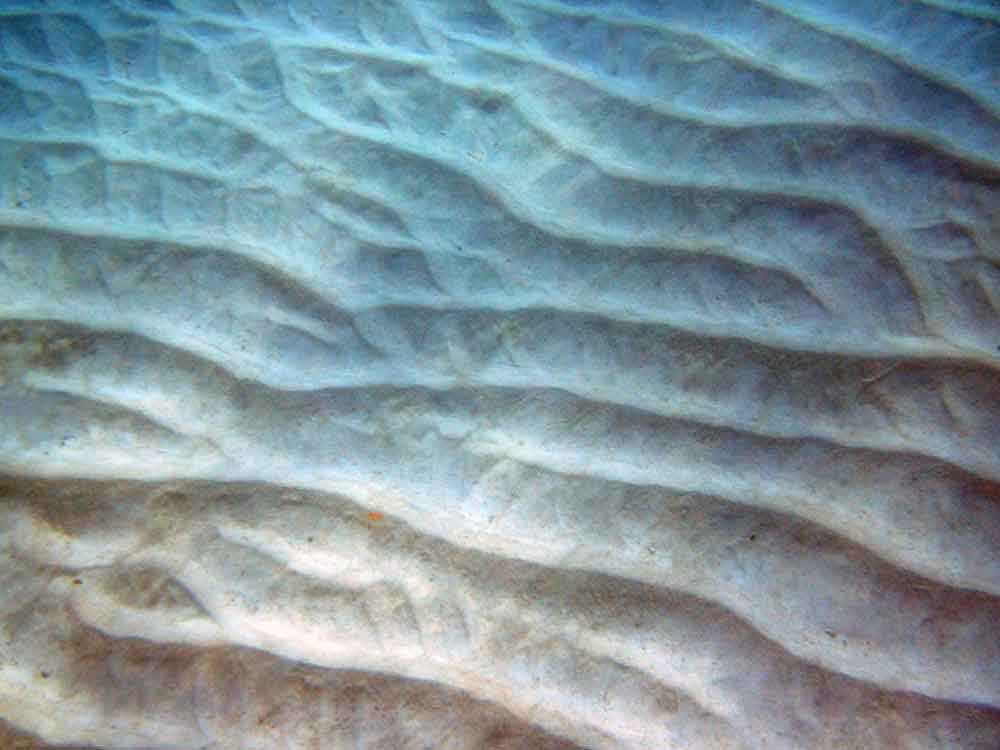 Sand ripples on the ocean floor, captured while snorkeling
